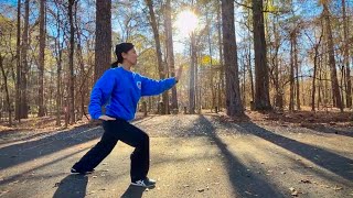 Jie Gu  Brush Knee and Push at Caddo Lake State Park martialarts wushu kungfu taolu taichi [upl. by Hayarahs]