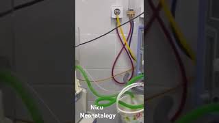 Neonatology  Nicu [upl. by Collum329]