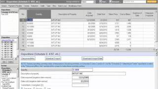 Tax Import Review imported data [upl. by Kanya]