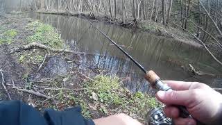 Ultra light small stream trout fishing [upl. by Jacie]