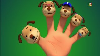 cani famiglia dito  rima famiglia dito  Songs For Kids  3d Baby Rhymes  Dogs Finger Family [upl. by Ahcarb444]