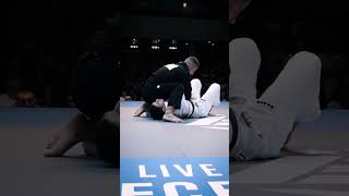 Tainan Dalpra VS Tarik Hopstokbjj jiujitsu [upl. by Nylarej605]