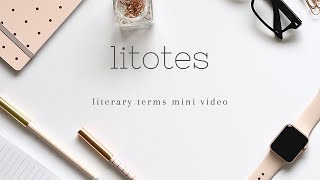 LITOTES  Literary Terms Mini Video [upl. by Gromme901]