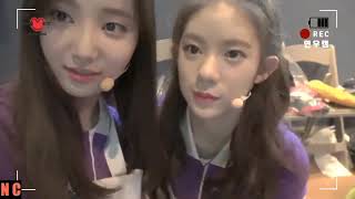 Momoland Daisy Funny Moments Part 2 [upl. by Posner]