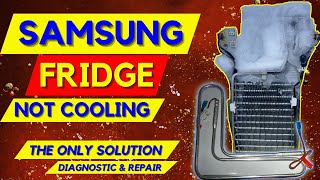 Samsung Fridge Not Cooling [upl. by Vocaay306]