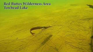 Towhead Lake Red Buttes Wilderness Area Oregon Summer hike and swim [upl. by Chavey663]