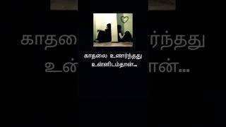 Nee muthala mudiva ullam thadam maaruthe  vibe tamil song lyrics tamilsonglyrics tamilstatus [upl. by Ddet]