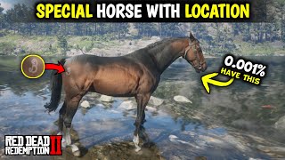 Special Turkoman Horse Location  Red dead redemption 2 [upl. by Farrell]