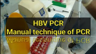 HBV PCR test PCR test Manually [upl. by Vezza]