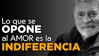 ¿Por qué elegimos mal en el amor Los 4 pilares para las relaciones  Dr Walter Riso [upl. by Andeee]