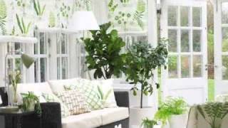 How to create a pretty conservatory [upl. by Anned363]