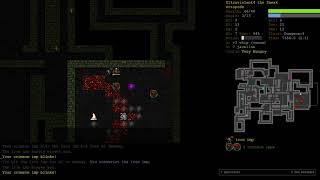 Octopode Wizard of Nemelex Part 2  Dungeon Crawl Stone Soup [upl. by Natek]