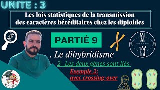 UNITÉ 3  Parti 9  le dihybridisme deux gènes liés  EXEMPLE 1 [upl. by Ennaej]