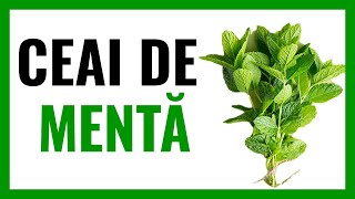 🌿CEAIUL DE MENTĂ CONSTIPĂ 🌿 ceai de mentă beneficii  proprietăți  contraindicații [upl. by Htenay]