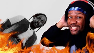 Kendrick Lamar  N95 Reaction [upl. by Nerro]