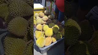 🇸🇬Right in SINGAPORE Durian season [upl. by Idonah]