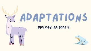 What are Adaptations  Biology Episode 4  Bottlebrush Science 🌞 [upl. by Yffub]