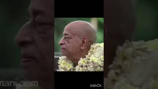 All glories to Srila prabhupada ytshort srilaprabhupad forgive [upl. by Alian]