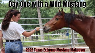 Day One with a Wild Mustang  2022 Texas Extreme Mustang Makeover [upl. by Ennaeilsel931]