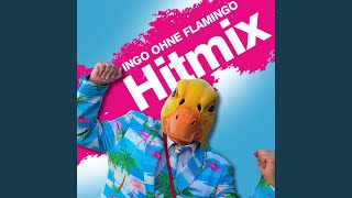 Ingo ohne Flamingo Hitmix Saufen morgens mittags abends  Hartz 4 und der Tag gehört dir [upl. by Aynotak]