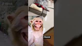 HOME Snatching Prank l Prank comedy l Prank video Comedy Prank Video l shiva Prank video [upl. by Sina]