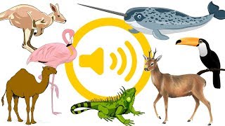 Aprender los sonidos y onomatopeyas animales [upl. by Cire]