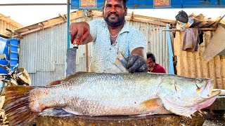 KASIMEDU 🔥 MR GOVINDH  11 KG BARRAMUNDI FISH CUTTING VIDEO  IN KASIMEDU  FF CUTTING 🔪 [upl. by Attenaz674]