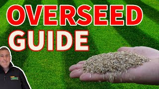 Beginners guide to overseeding a lawn and everything you need to get it RIGHT [upl. by Ettinger]