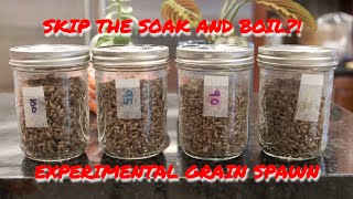 Grain Spawn without Soaking and Boiling An Experiment to Find Out if itll Work Part 1 of 2 [upl. by Rogergcam351]