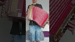 Coasa  Romanian folk song  Heligonka romanianmusic heligonka diatonicaccordion [upl. by Amaty]