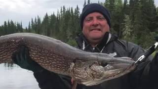 Monsters of Lake Nipigon 2017 [upl. by Darken]