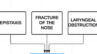 Epistaxis fractures of the Nose and Laryngeal Obstruction [upl. by Means]