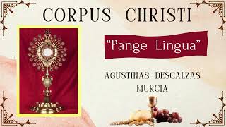 Pange Lingua 🪔🌼CORPUS CHRISTI🌼en Agustinas Descalzas de Murcia [upl. by Eenad195]