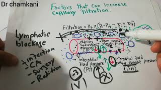 Renal physiology 34  summary of safety factors that prevent edema  Human Physiology Drchamkani [upl. by Ricardama329]