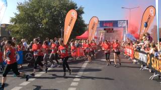 Wochenkurier Dresden – Frauenlauf Dresden [upl. by Hcirteid]