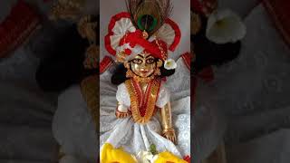 Radhe Radhe ❤️ Jai ho ladoo gopal 🙏 [upl. by Aliemaj]