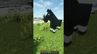 Minecraft tipsandtricks funny [upl. by Waverley332]