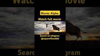 How to download movies for free Movie clip Best movies of all time ytshorts shorts moviesclips [upl. by Odnalro]