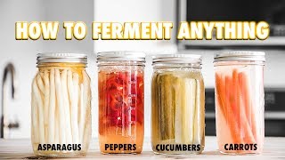 The Guide to LactoFermentation How To Ferment Nearly Anything [upl. by Aihsened]