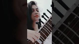 Amazing Sitar Player Mizraab Khawar shorts shortvideo short music [upl. by Neeruan195]