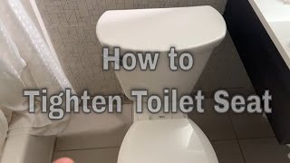 American Standard Toilet  How to Tighten Toilet Seat [upl. by Saref]