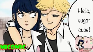 Unlucky Charm Part 1 Miraculous Ladybug Comic Dub [upl. by Nolyad]