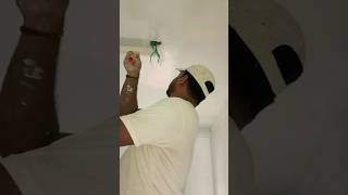 Berger Best Wall Primer  Berger Damp Stop short primer video primer colors viral trending [upl. by Dmitri]