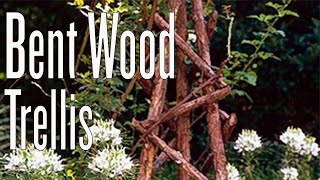 How to Create a Bent Wood Trellis [upl. by Ainocal]