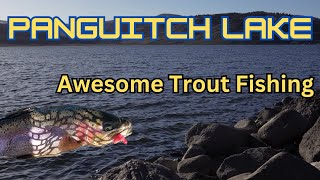 Epic Trout Fishing Day at Panguitch Lake Ice Off [upl. by Ahsinuq]