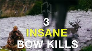 3 bow kills on the ground [upl. by Nafets]