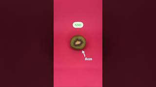 The stages of cervical dilation  A guide with fruit [upl. by Ajiak446]