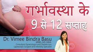 Hi9  गर्भावस्था के 9 से 12 सप्ताह  9 to 12 weeks of pregnancy  DrVimee Bindra  Gynecologist [upl. by Dalohcin358]