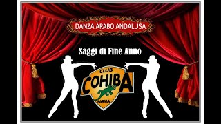 2018  DANZA ARABO ANDALUSA  Saggio di Fine Anno al Cohiba Club Parma [upl. by Kubis149]