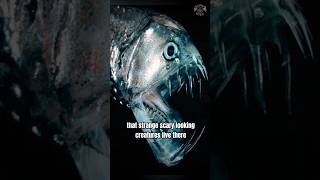 Top 3 Creepy Secrets of the Mariana Trench [upl. by Nyrrad929]